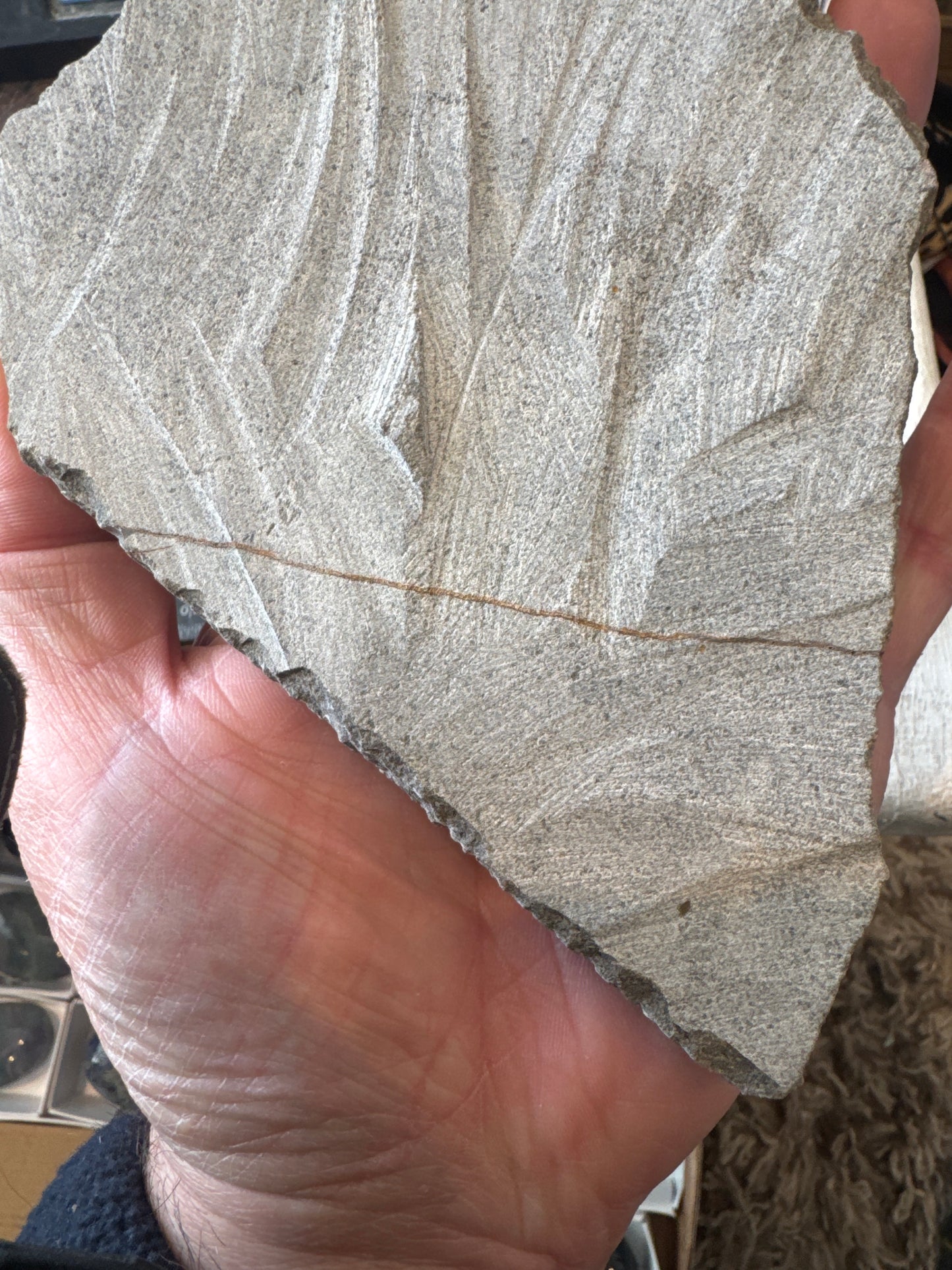 Collector‑Grade Brittlestar Plate Fossil Starfish Morocco Repaired