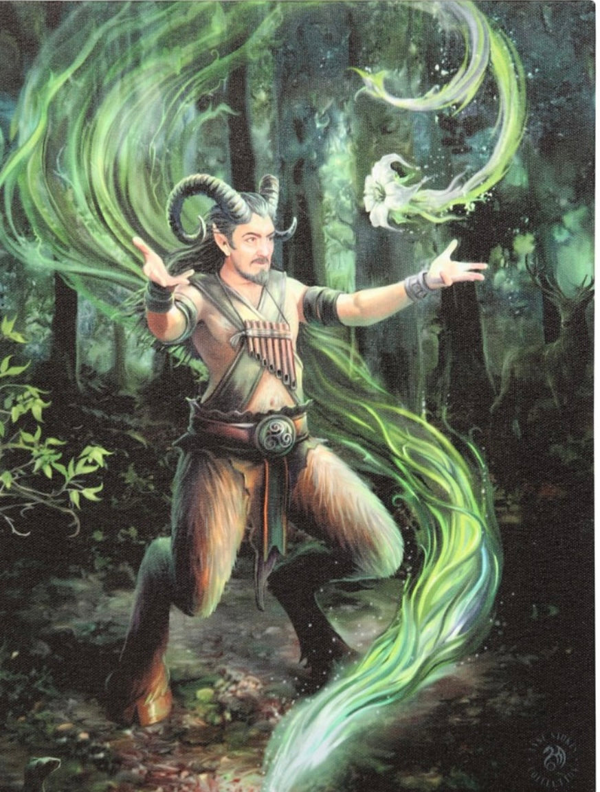 19X25CM EARTH ELEMENT WIZARD CANVAS PLAQUE BY ANNE STOKES