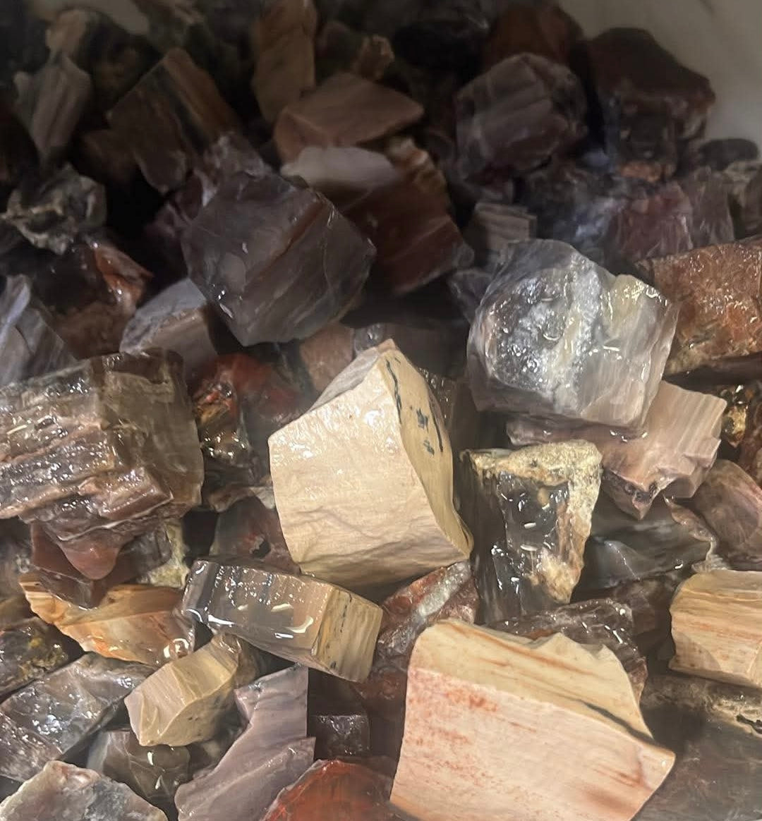 1kg Rough Petrified Wood – Natural Fossilised Wood Pieces