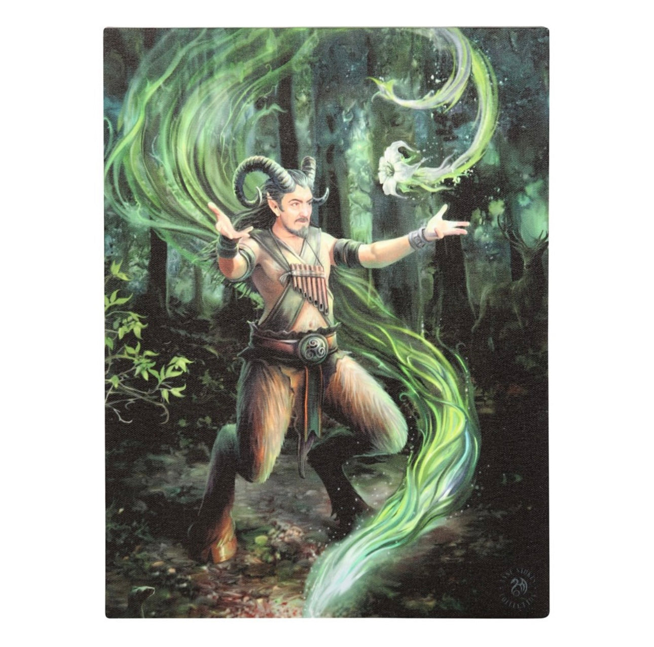19X25CM EARTH ELEMENT WIZARD CANVAS PLAQUE BY ANNE STOKES