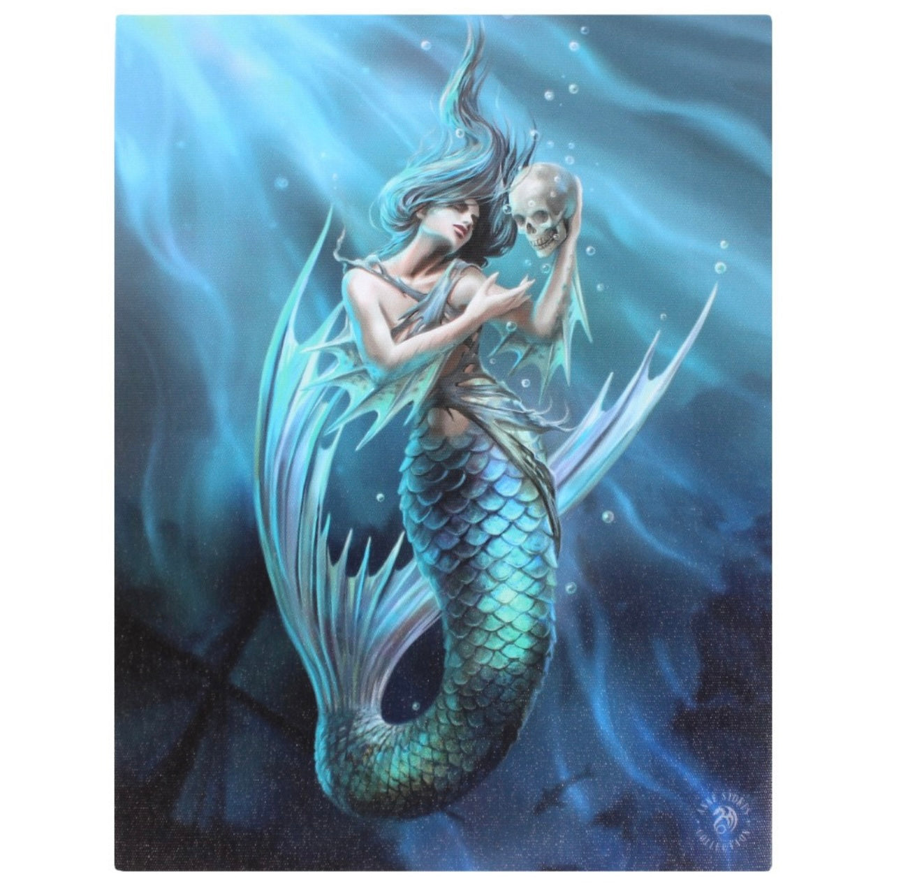 SMALL SAILORS RUIN CANVAS PICTURE BY ANNE STOKES