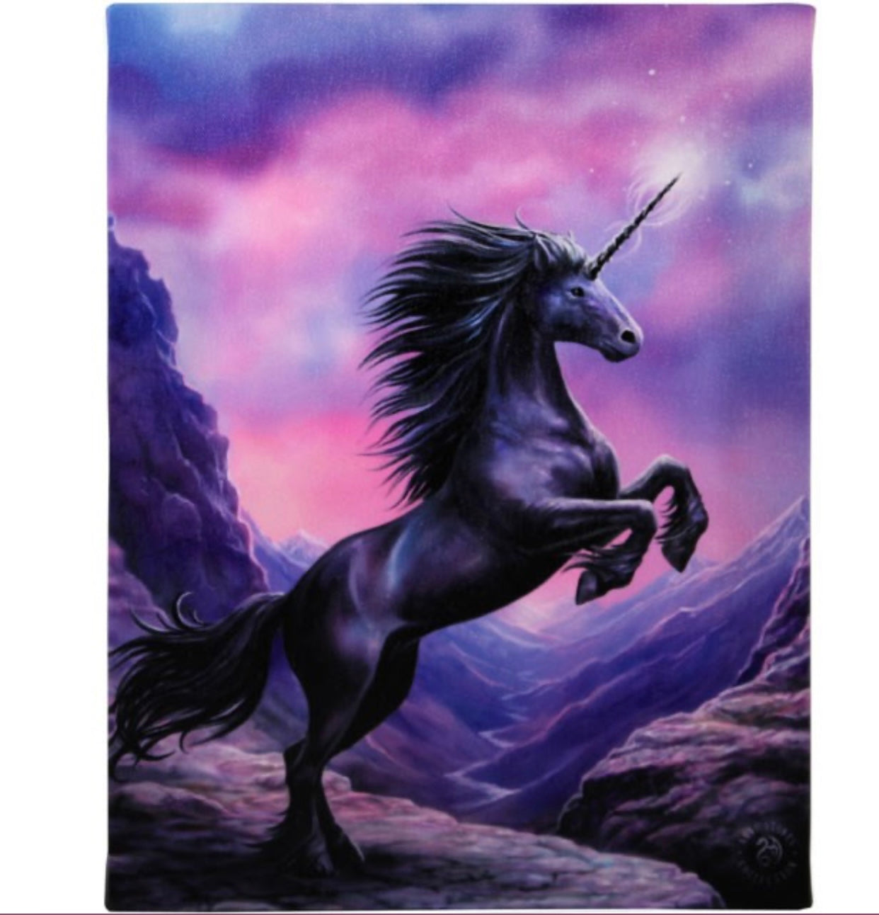 19X25CM BLACK UNICORN CANVAS PLAQUE BY ANNE STOKES