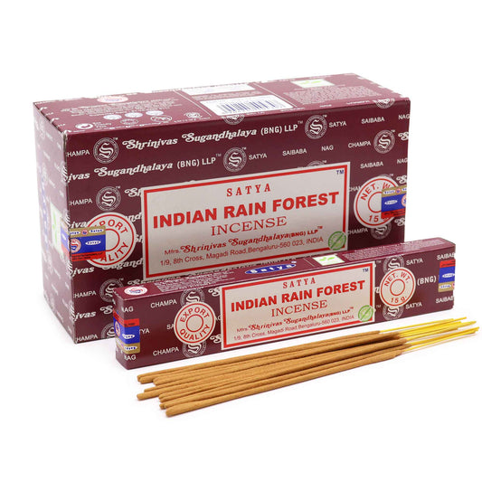 Indian rain forest