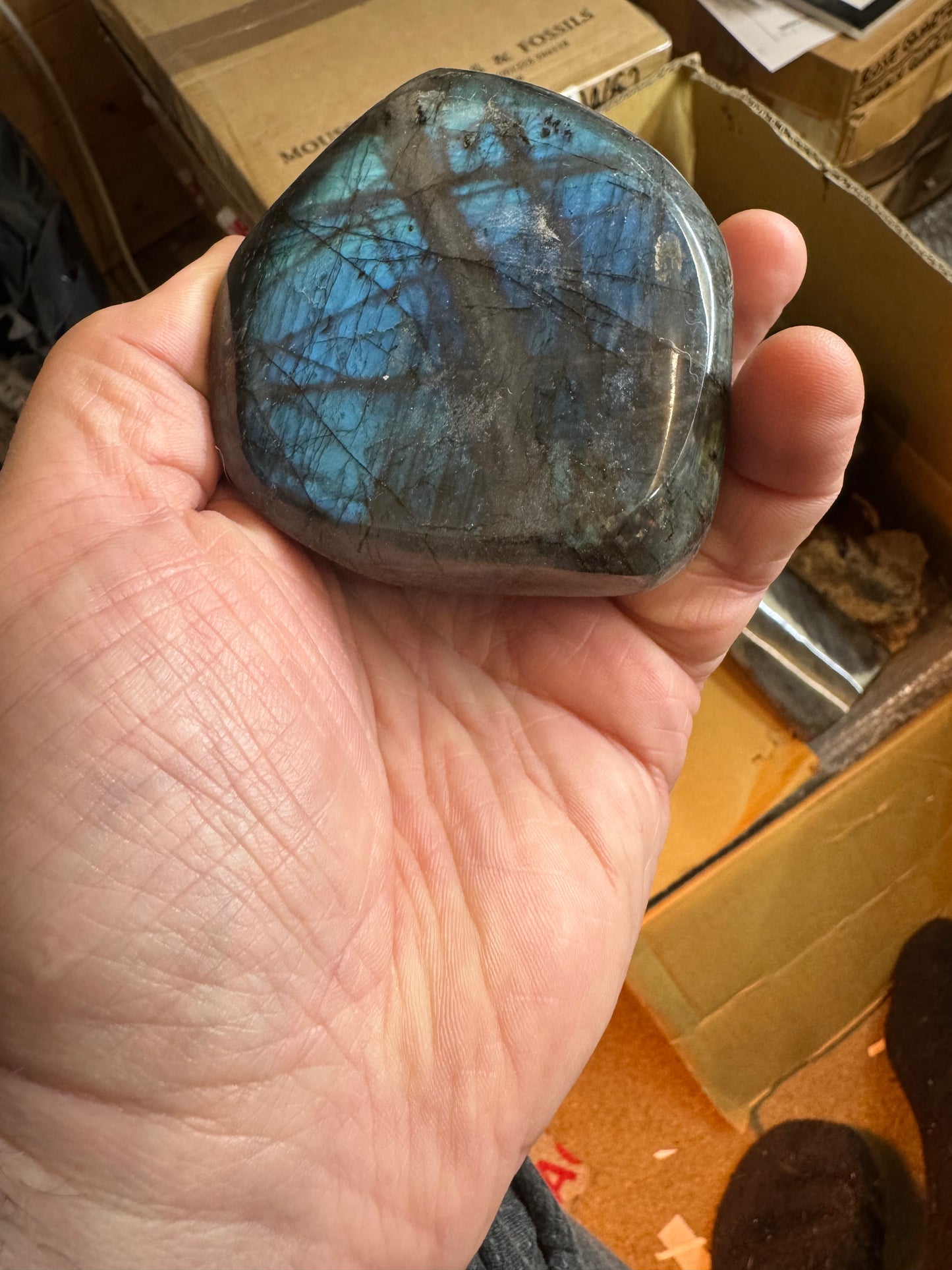 Freestanding labradorite freeform lft2#6