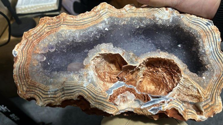 Specimens