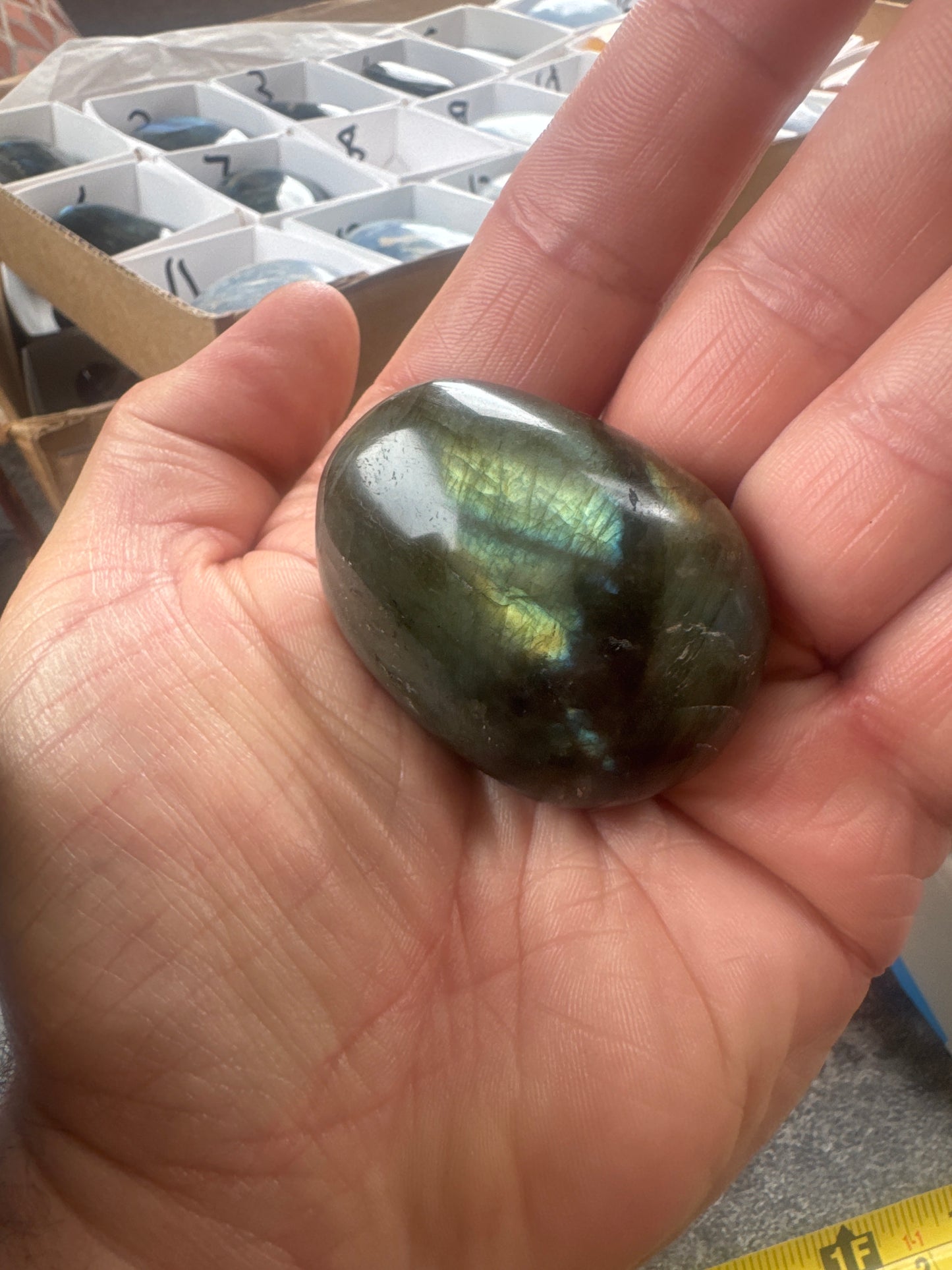 Labradorite Palmstone — Natural Flash & Protective Energy 88 grams EBY2#8