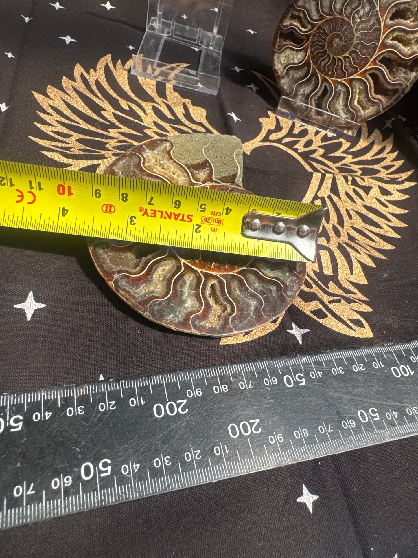 A beautiful Cleoniceras ammonite pair from the fossil‑rich deposits of Madagascar, expertly cut and polished to reveal the intricate internal chambers and natural mineralisation within. EBY21 #5