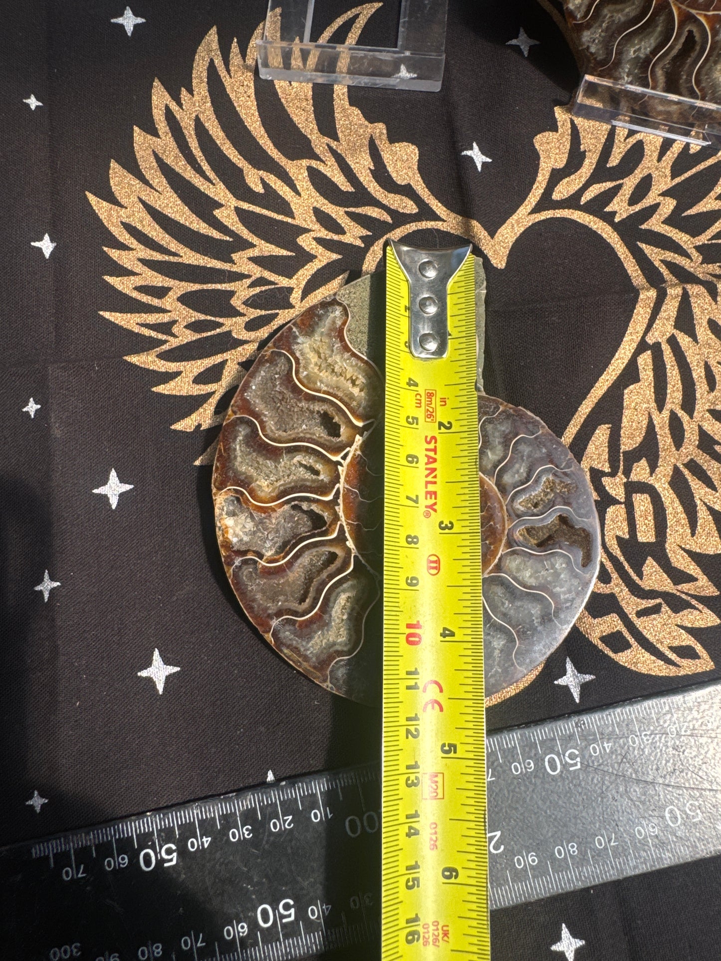 A beautiful Cleoniceras ammonite pair from the fossil‑rich deposits of Madagascar, expertly cut and polished to reveal the intricate internal chambers and natural mineralisation within. EBY21 #5