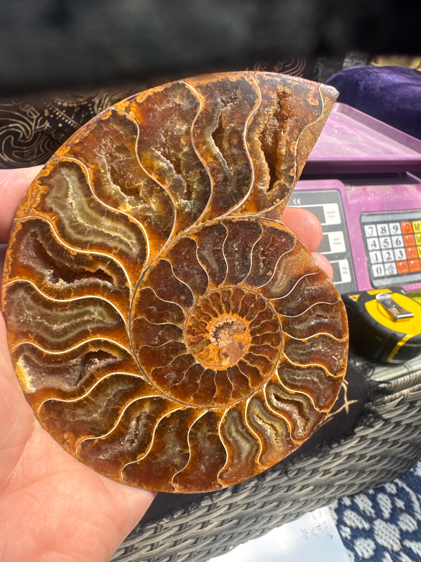 A beautiful Cleoniceras ammonite pair from the fossil‑rich deposits of Madagascar, expertly cut and polished to reveal the intricate internal chambers and natural mineralisation within. EBY21#8