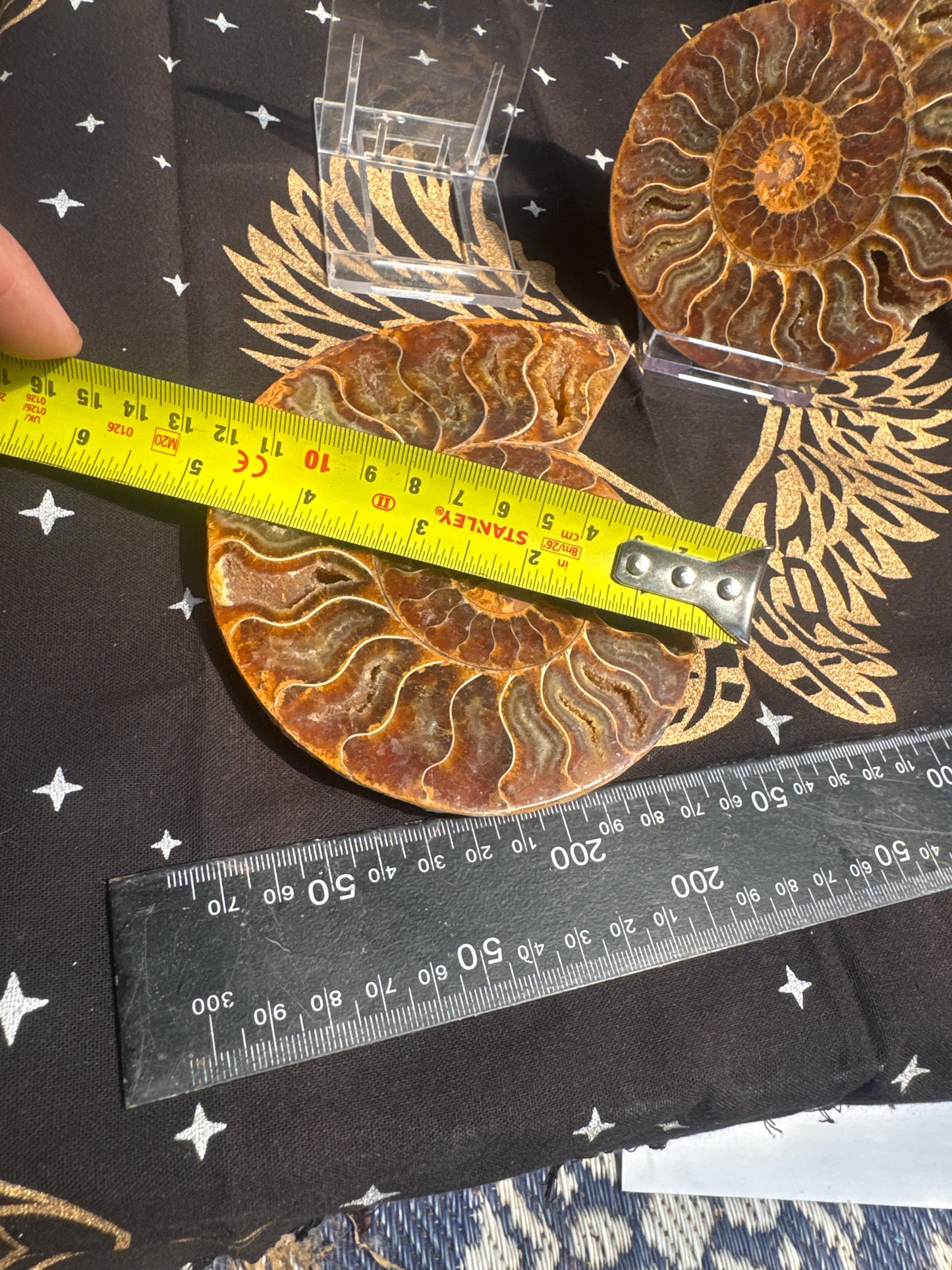 A beautiful Cleoniceras ammonite pair from the fossil‑rich deposits of Madagascar, expertly cut and polished to reveal the intricate internal chambers and natural mineralisation within. EBY21#8