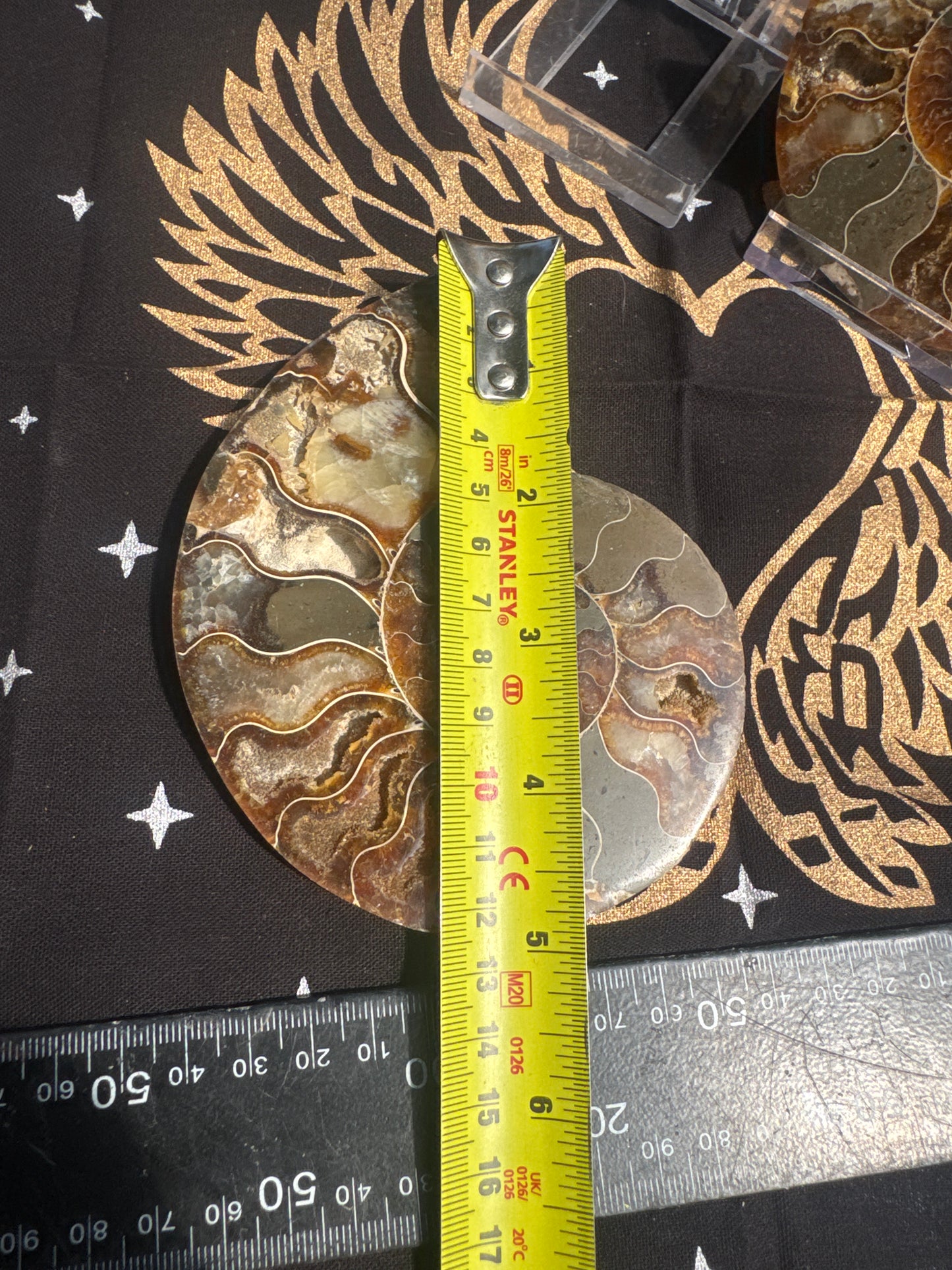 A beautiful Cleoniceras ammonite pair from the fossil‑rich deposits of Madagascar, expertly cut and polished to reveal the intricate internal chambers and natural mineralisation within. EBY21#6