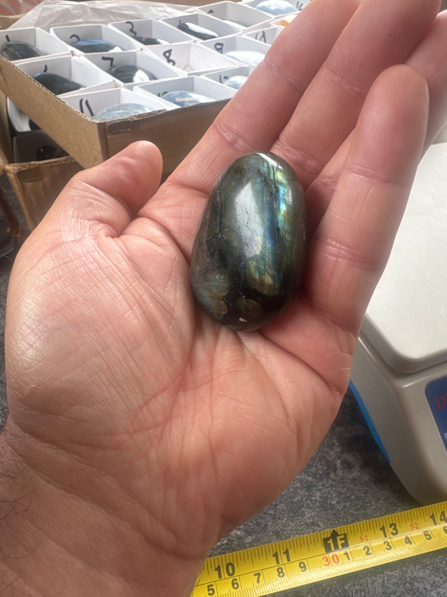 Labradorite Palmstone — Natural Flash & Protective Energy 88 grams EBY2#8