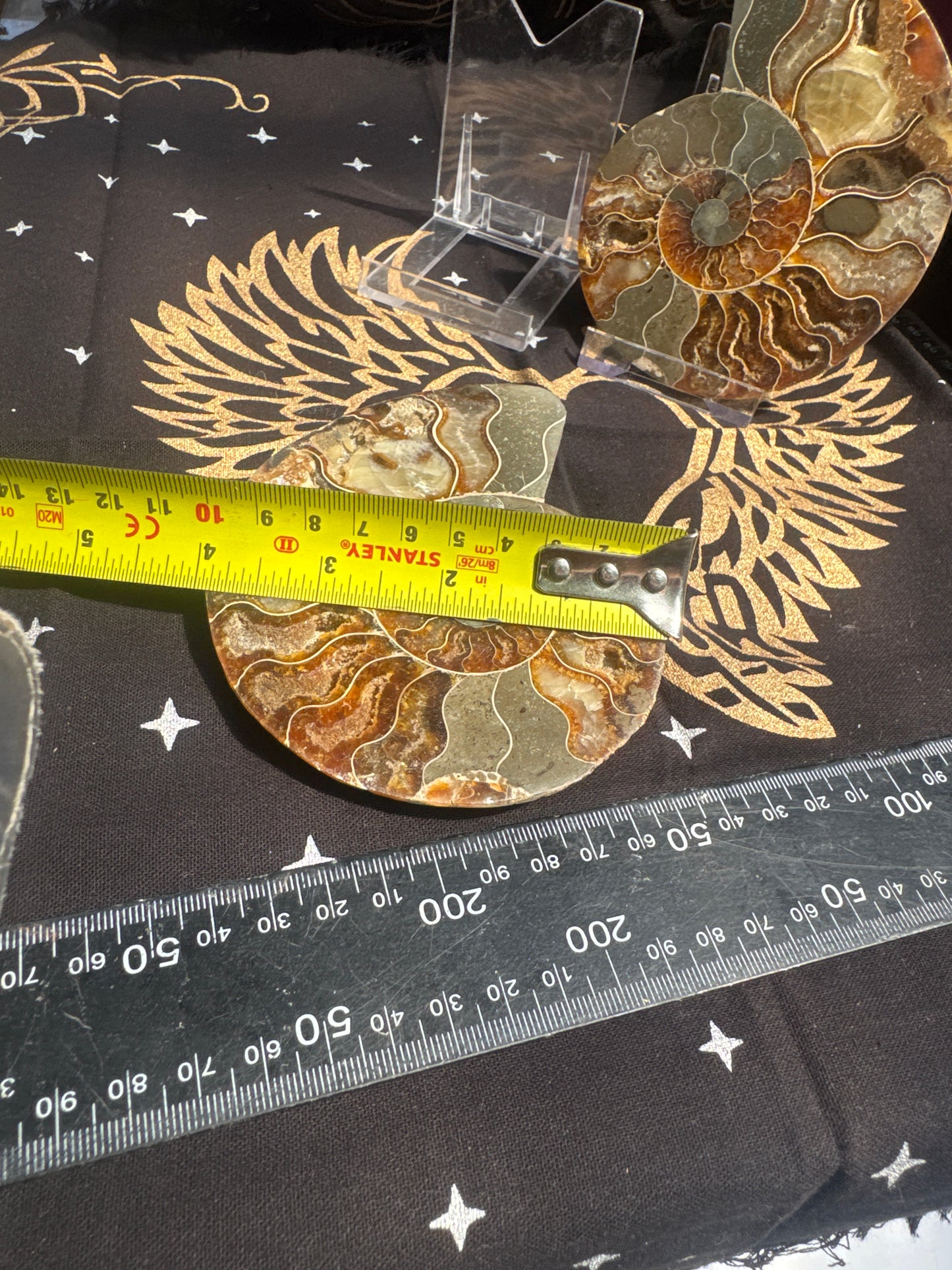 A beautiful Cleoniceras ammonite pair from the fossil‑rich deposits of Madagascar, expertly cut and polished to reveal the intricate internal chambers and natural mineralisation within. EBY21#6