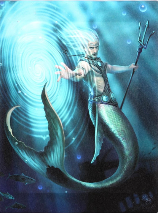 19X25CM WATER ELEMENT WIZARD CANVAS PLAQUE BY ANNE STOKES