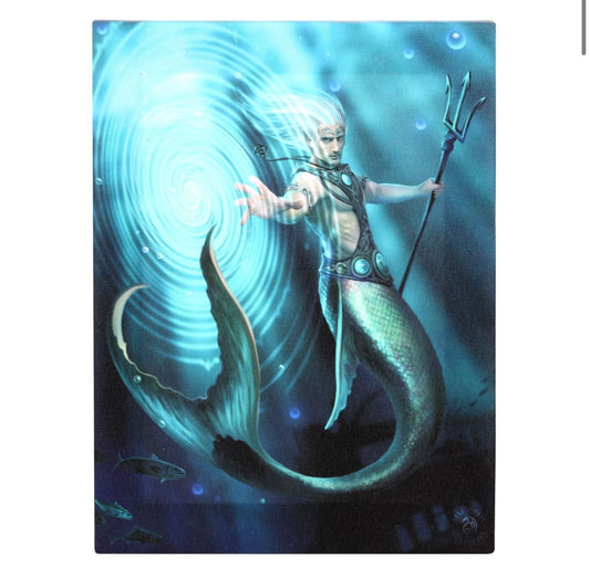 19X25CM WATER ELEMENT WIZARD CANVAS PLAQUE BY ANNE STOKES