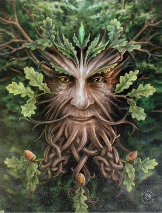 19X25CM OAK KING CANVAS PLAQUE BY ANNE STOKES