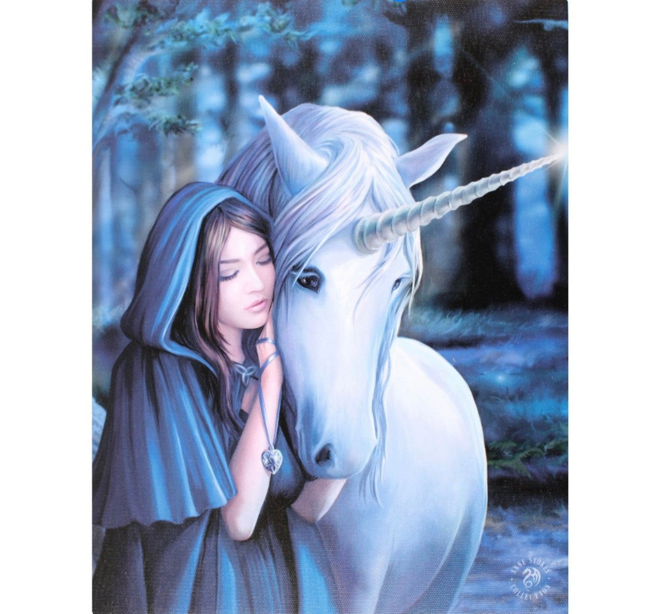 19X25CM SOLACE CANVAS PLAQUE BY ANNE STOKES