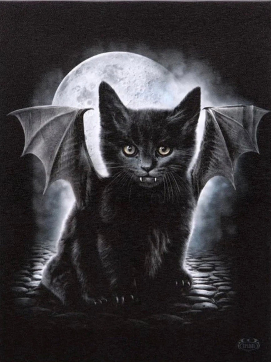 Bat Cat' depicts an adorable vampire kitten with tiny fangs and bat wings and will elevate any gothic decor.

19x25cm.