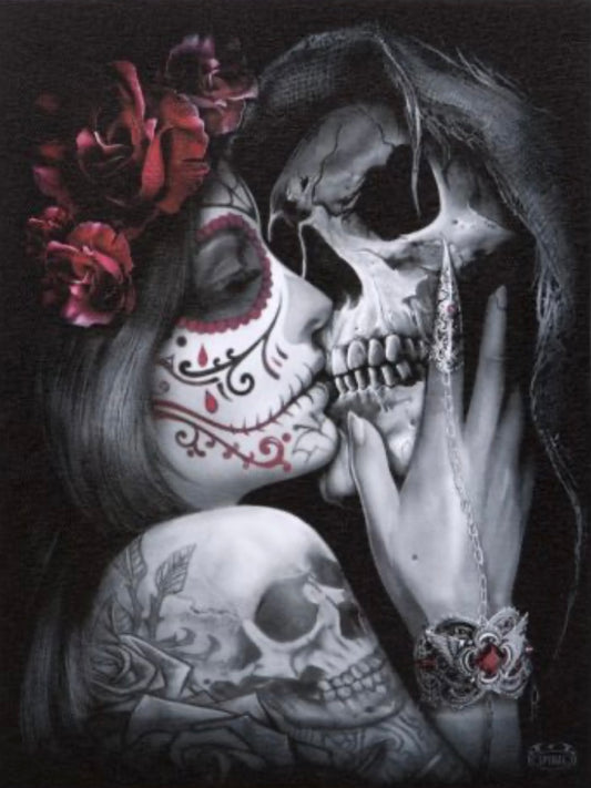 H:19 x W:25 x D:1.2 cm – This dark and alluring canvas plaque features licensed artwork from Spiral Direct. ‘Dead Kiss’ depicts a tattooed woman in a passionate embrace with Death that will elevate any gothic decor.