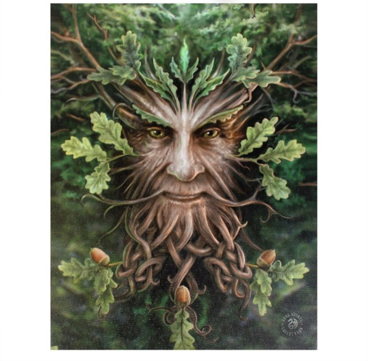 19X25CM OAK KING CANVAS PLAQUE BY ANNE STOKES