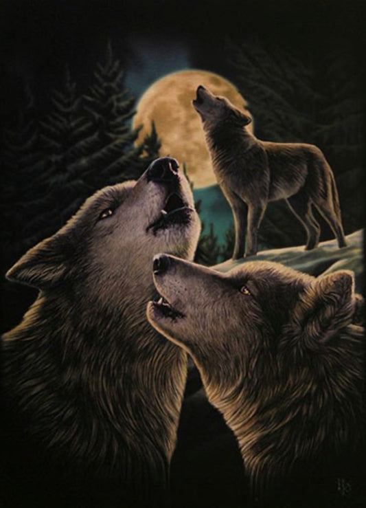 19X25CM WOLF SONG CANVAS PLAQUE BY LISA PARKER
