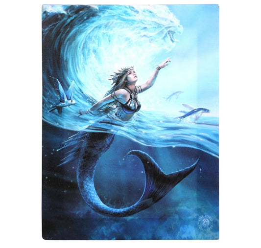 19X25CM WATER ELEMENT SORCERESS CANVAS PLAQUE BY ANNE STOKES
