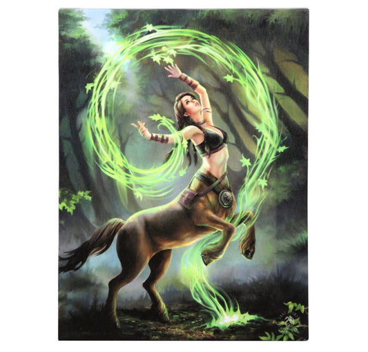 19X25CM EARTH ELEMENT SORCERESS CANVAS PLAQUE BY ANNE STOKES