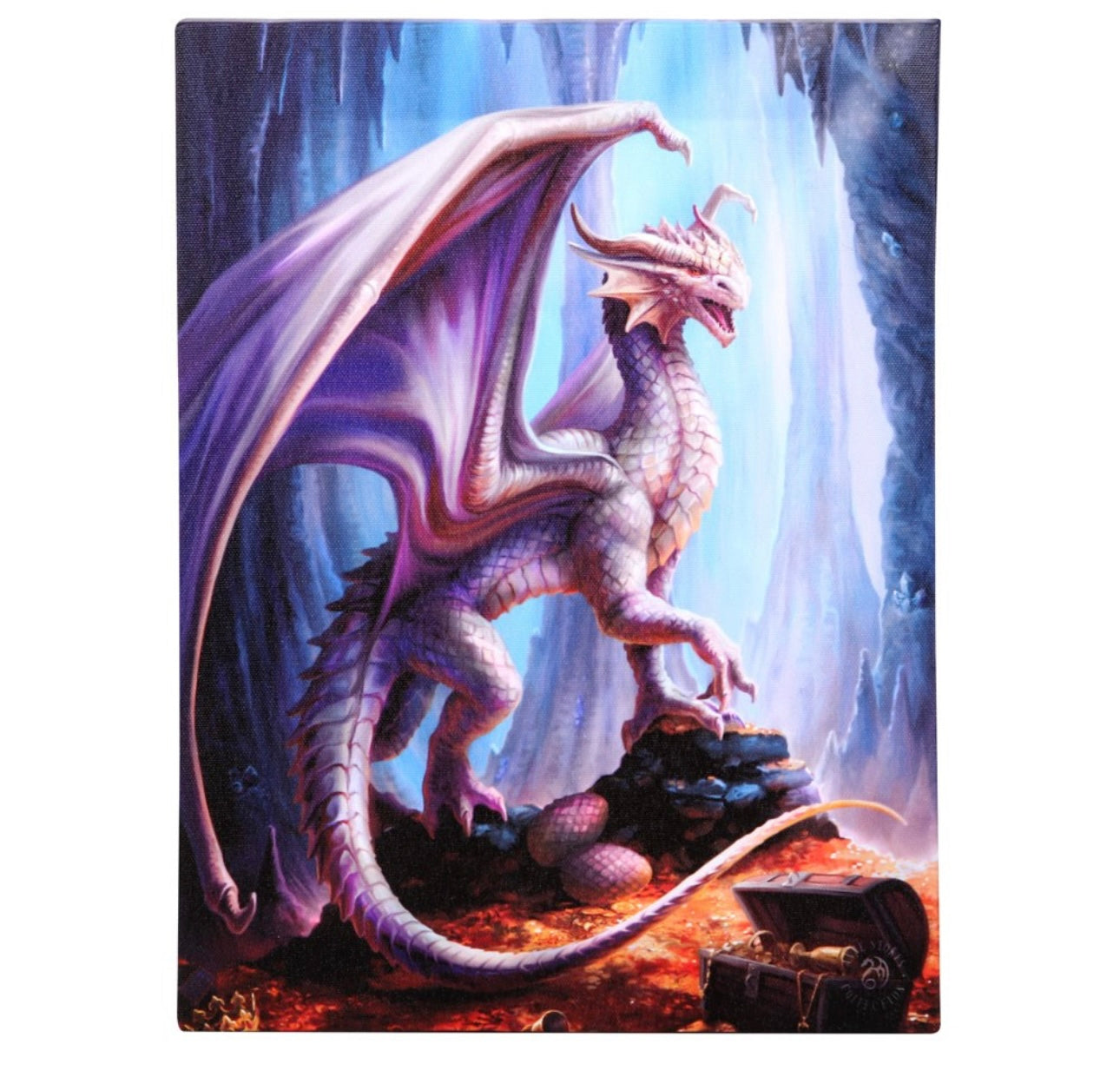 19X25CM TREASURE TROVE CANVAS PLAQUE BY ANNE STOKES