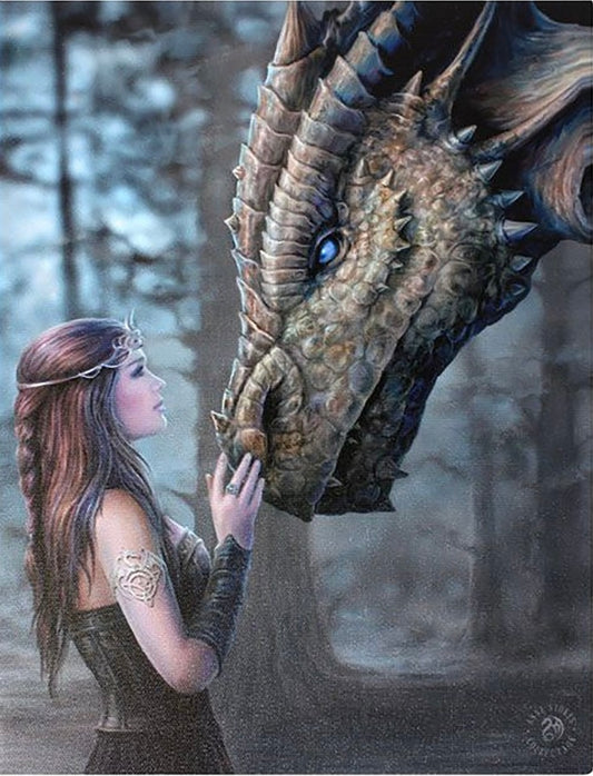 19X25CM ONCE UPON A TIME CANVAS PLAQUE BY ANNE STOKES