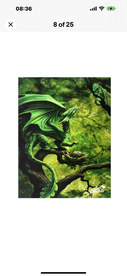 Forest Dragon Small Canvas (Anne Stokes)