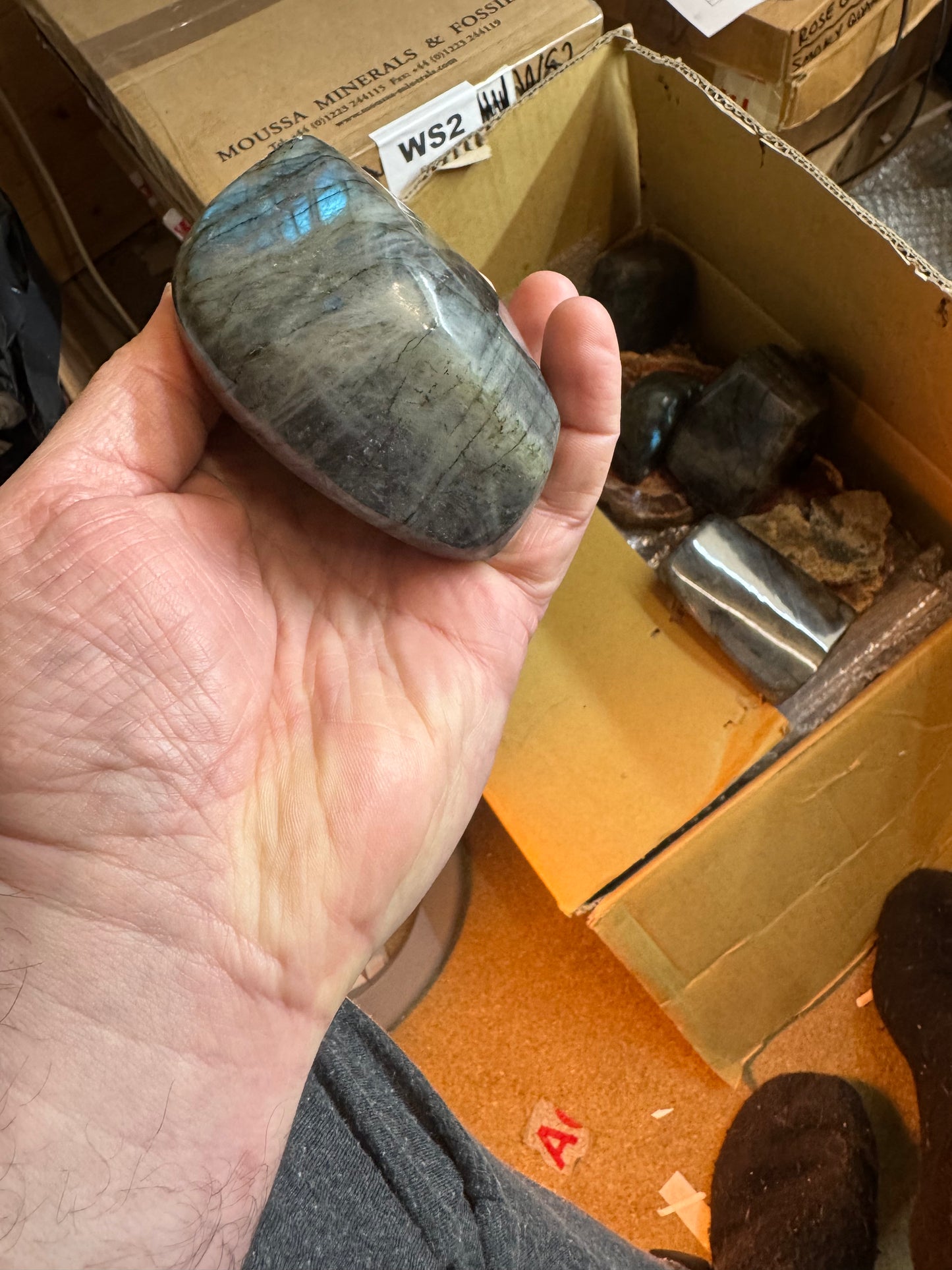 Freestanding labradorite freeform lft2#6