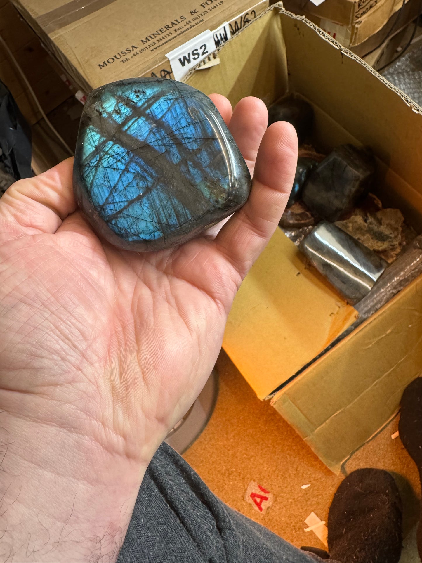 Freestanding labradorite freeform lft2#6