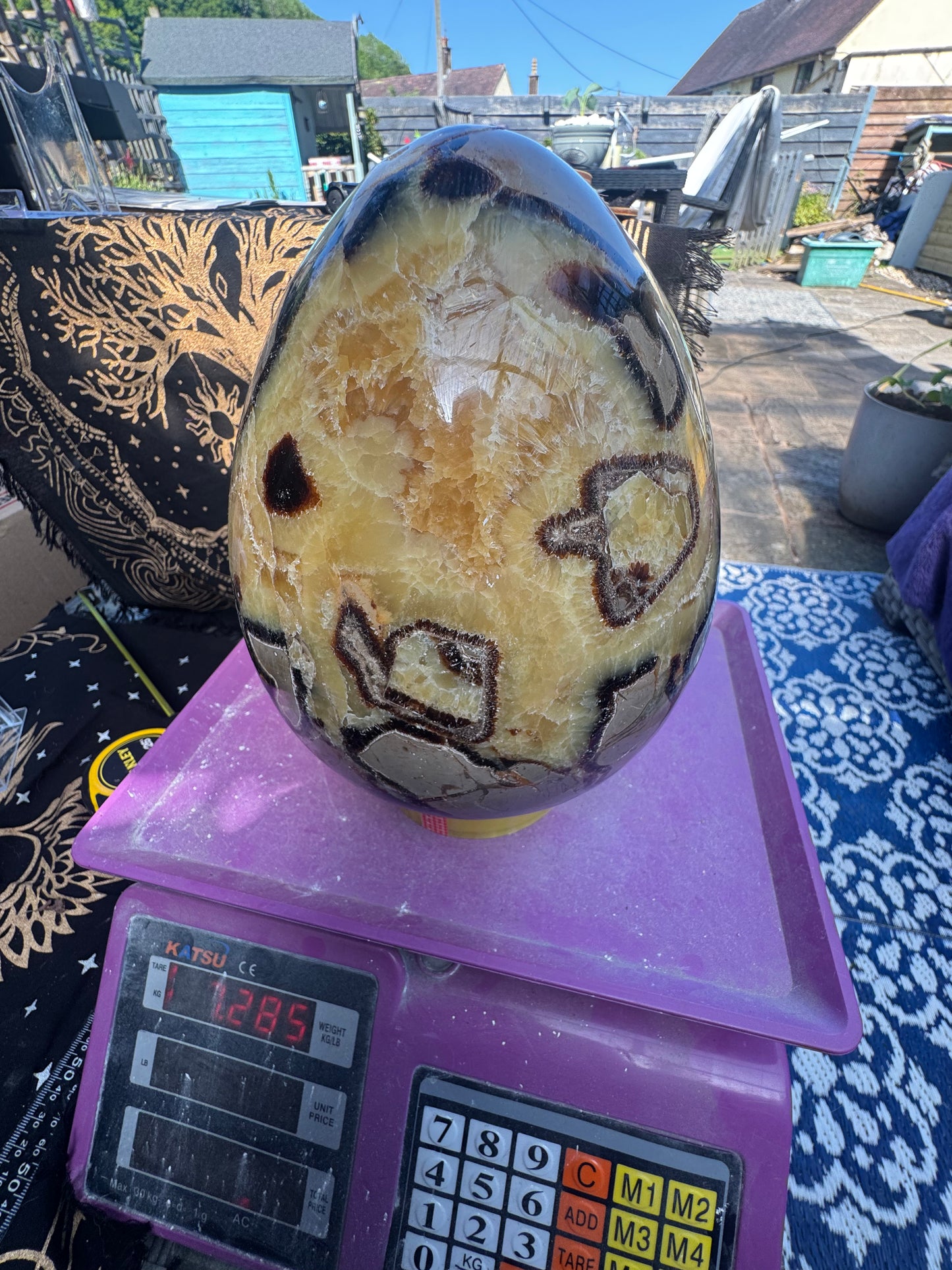 XXL Septarian egg 7.2 kilos (16lb)