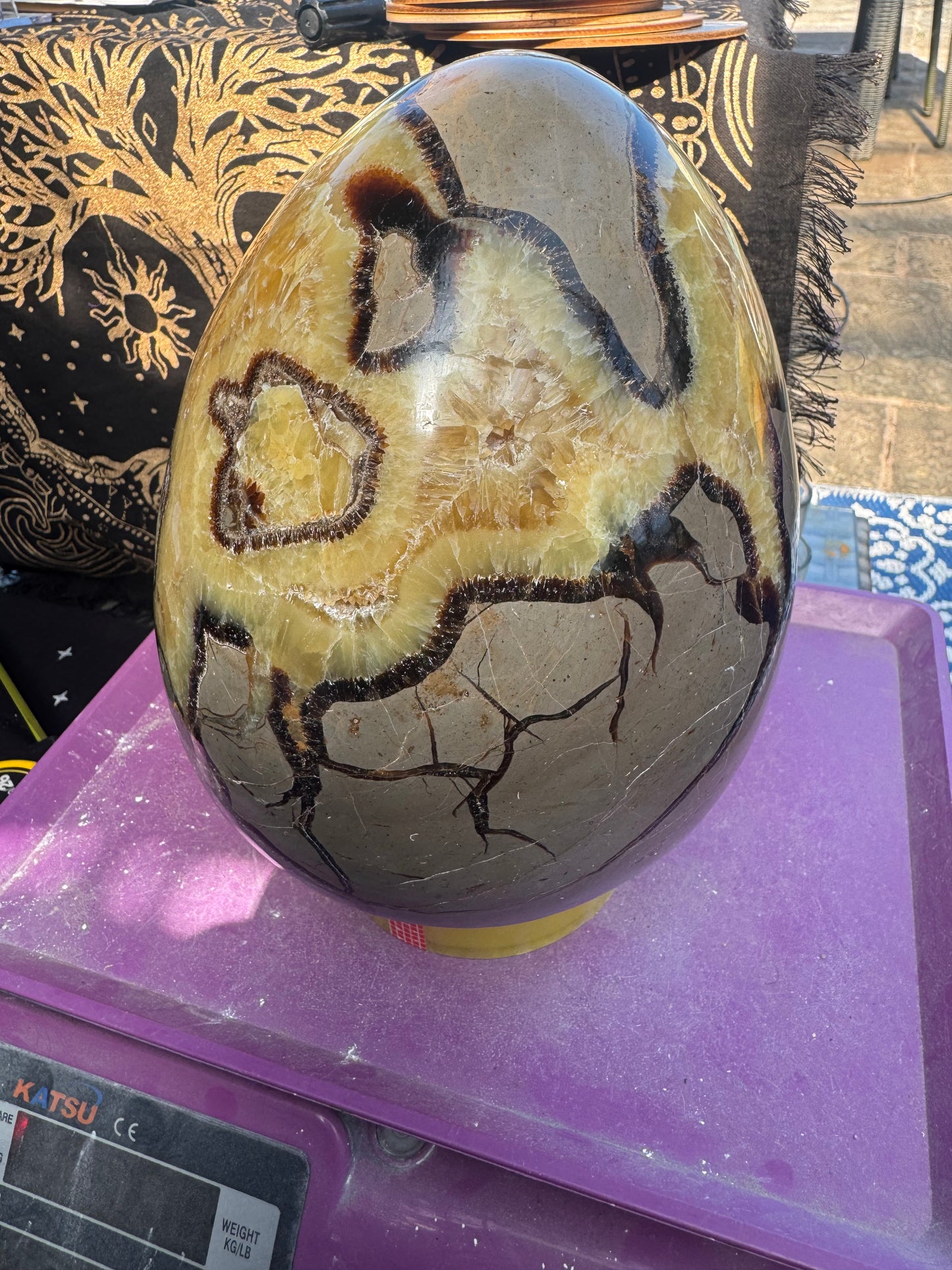 XXL Septarian egg 7.2 kilos (16lb)