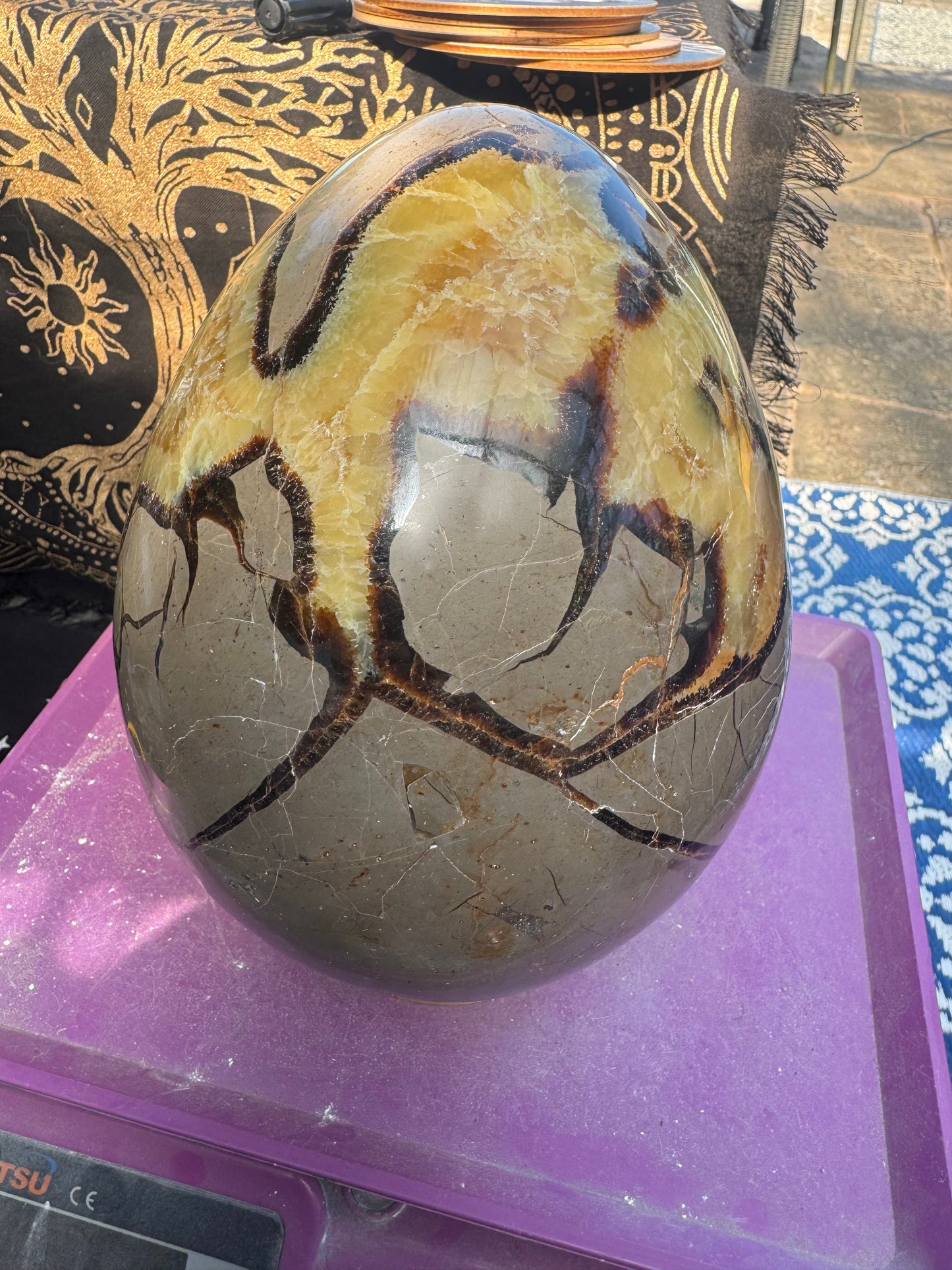 XXL Septarian egg 7.2 kilos (16lb)