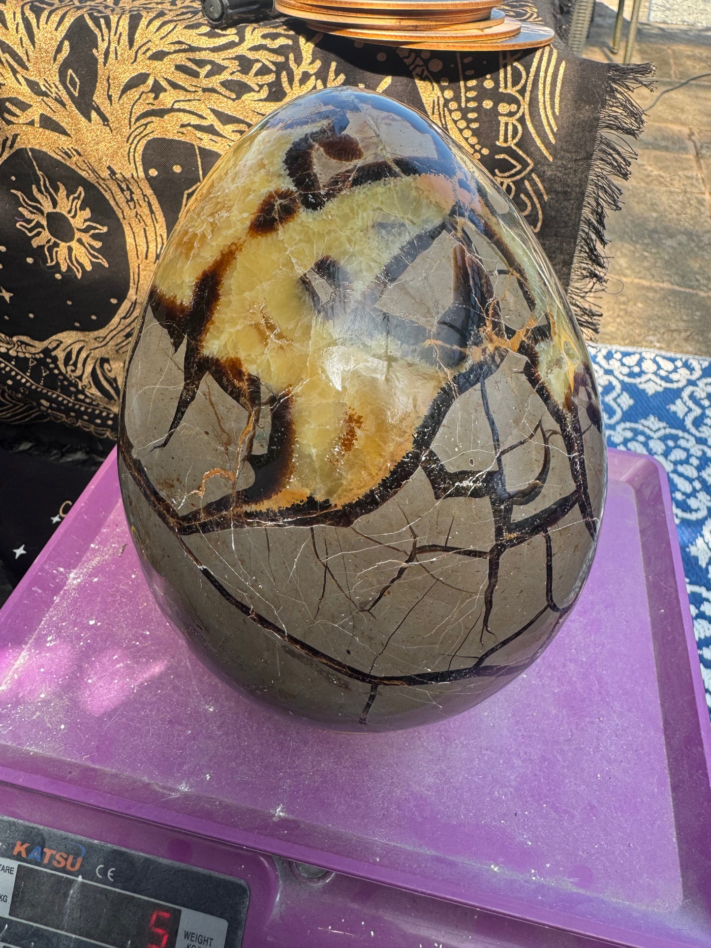 XXL Septarian egg 7.2 kilos (16lb)