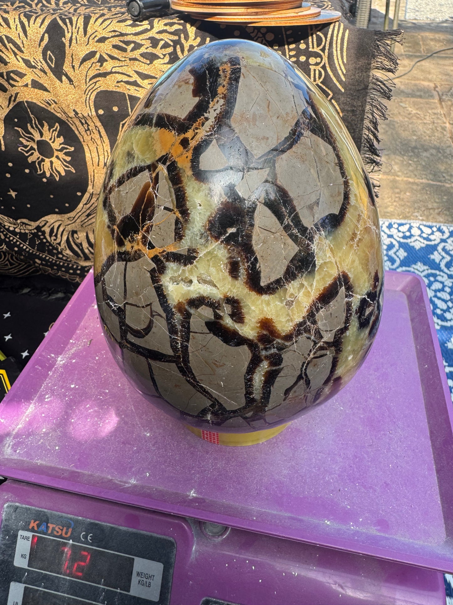 XXL Septarian egg 7.2 kilos (16lb)