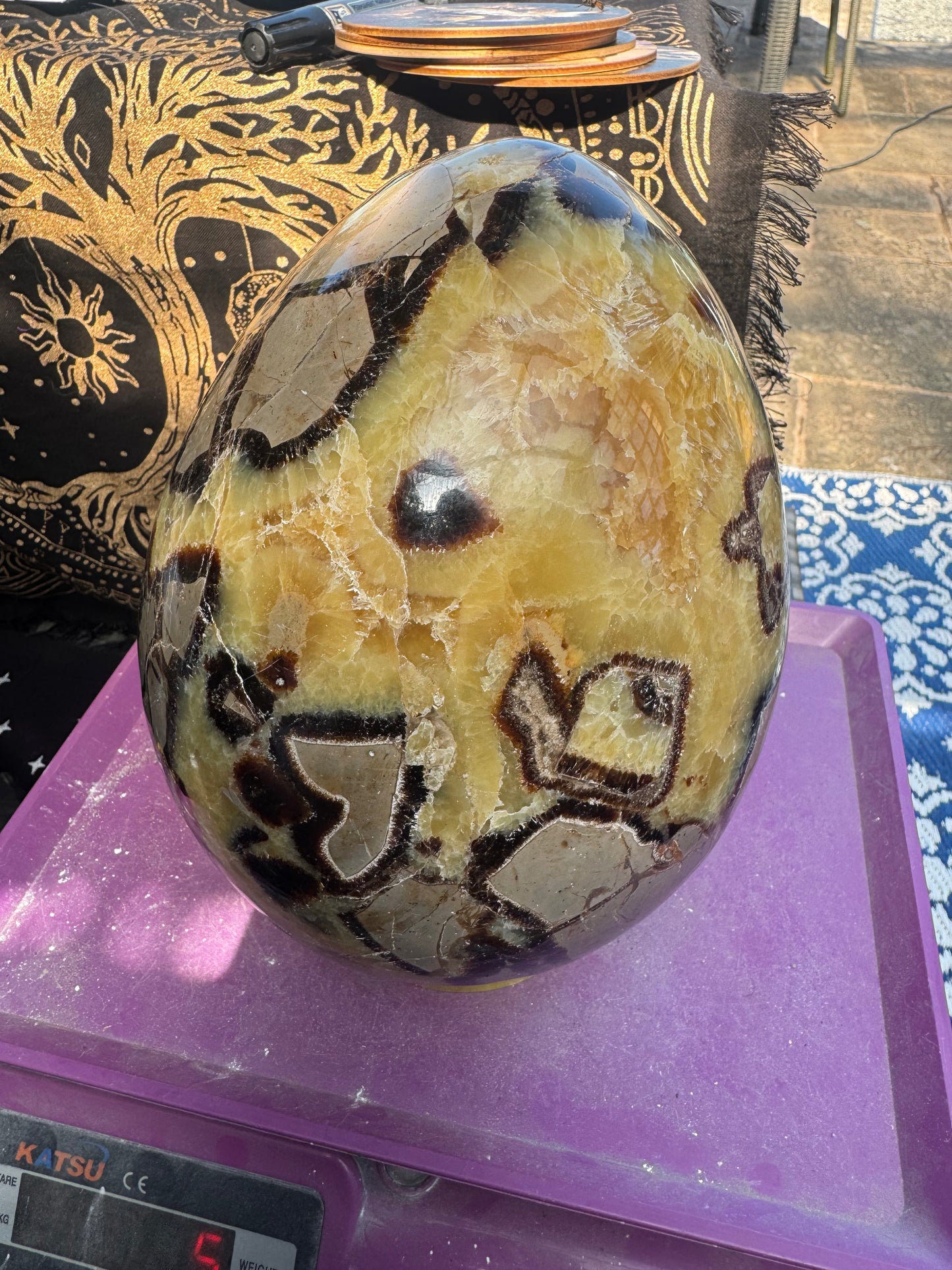 XXL Septarian egg 7.2 kilos (16lb)