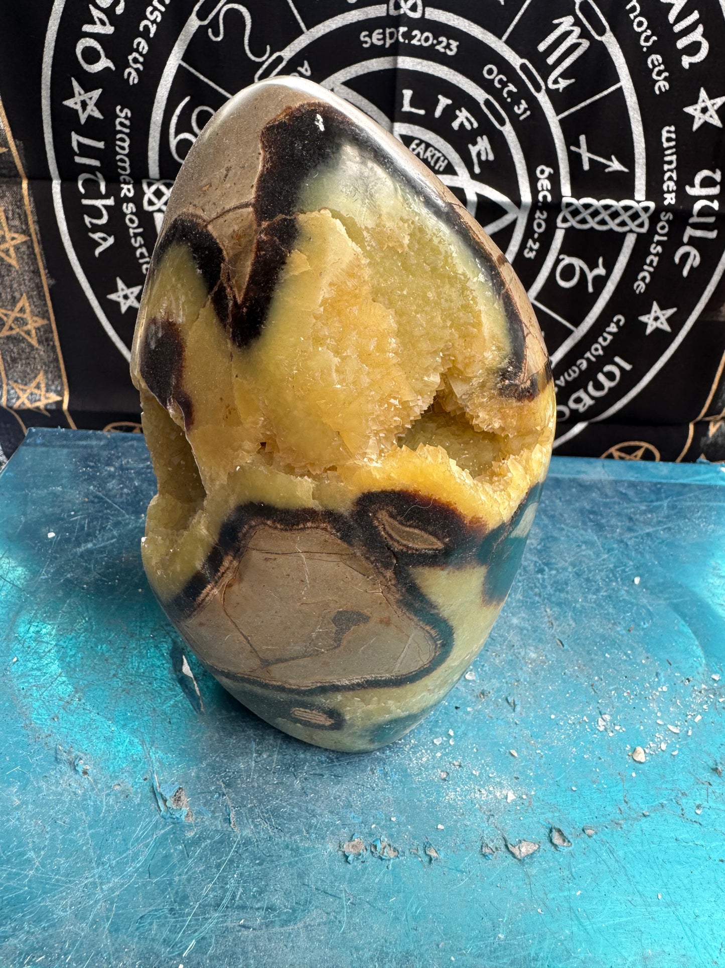Septarian cut base egg 2.7 kilos  approx 7 inch tall