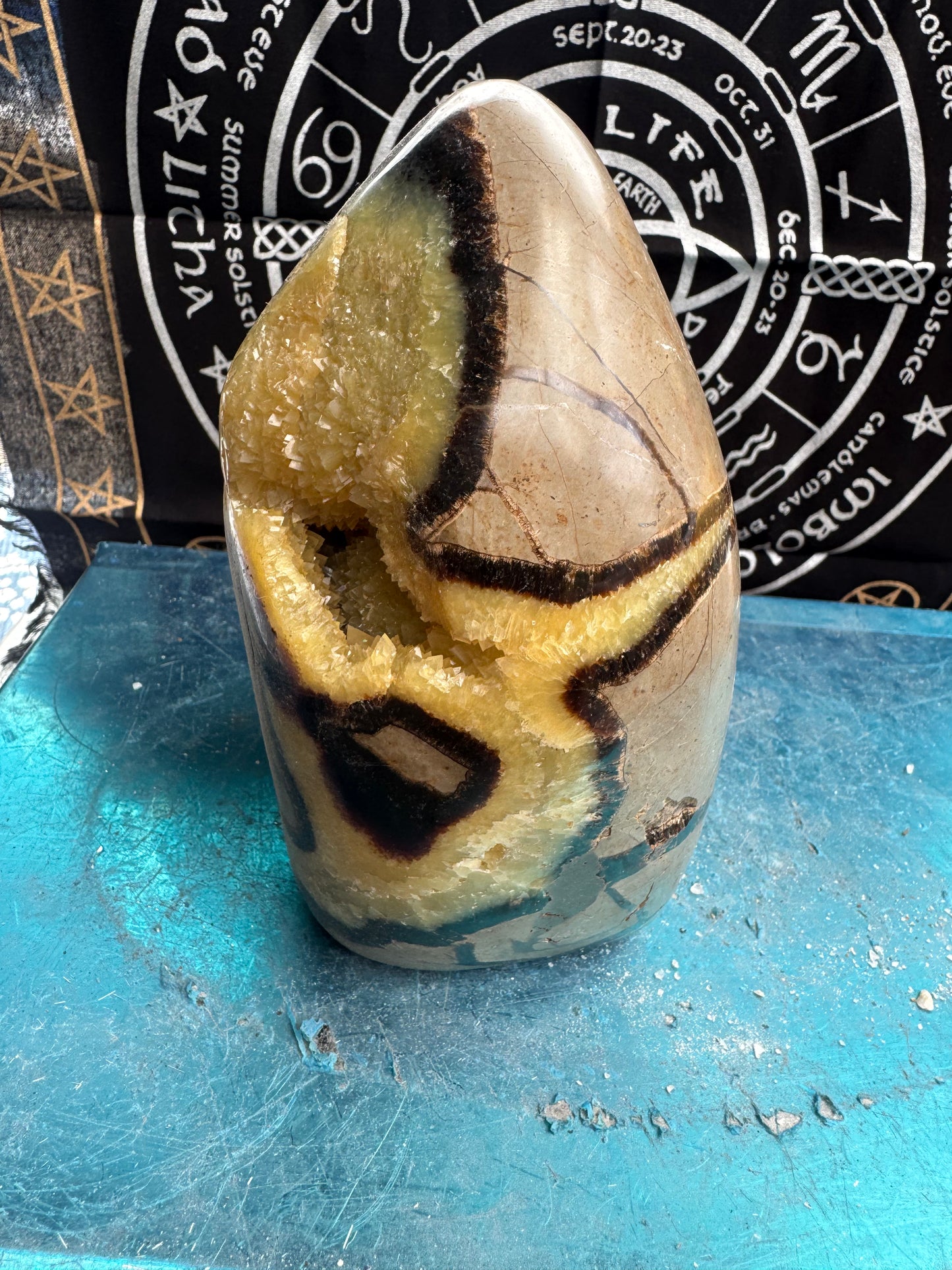 Septarian cut base egg 2.7 kilos  approx 7 inch tall