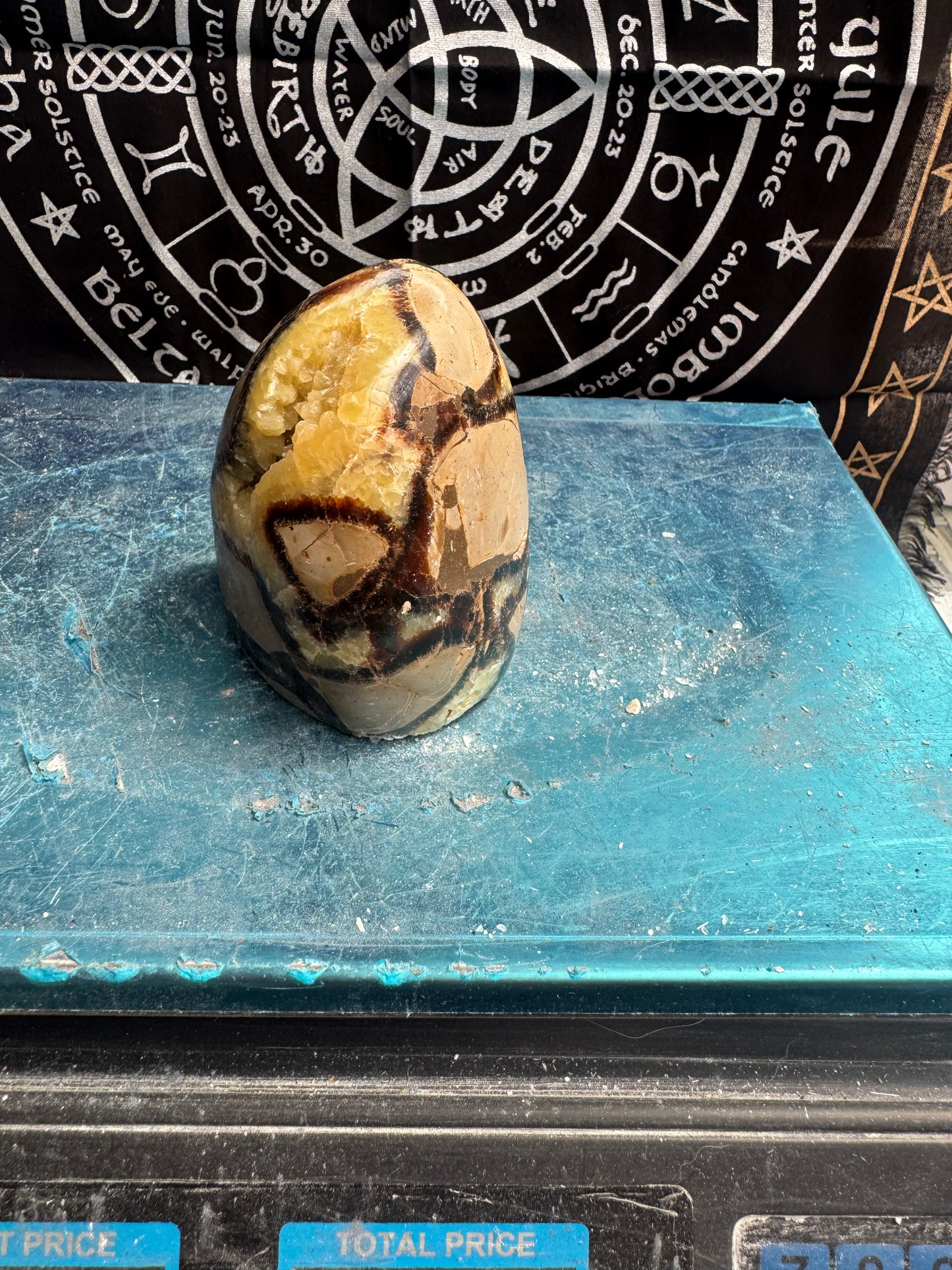 Septarian cut base egg 815 grams approx please see photos for size DRZ2#5