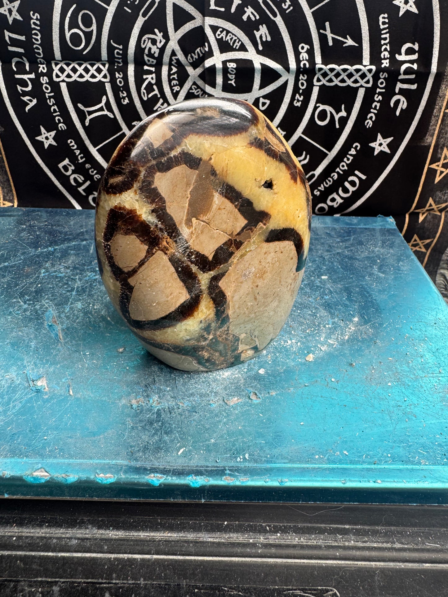 Septarian egg 1.23 kilos please see photos for size DRZ2 # 8