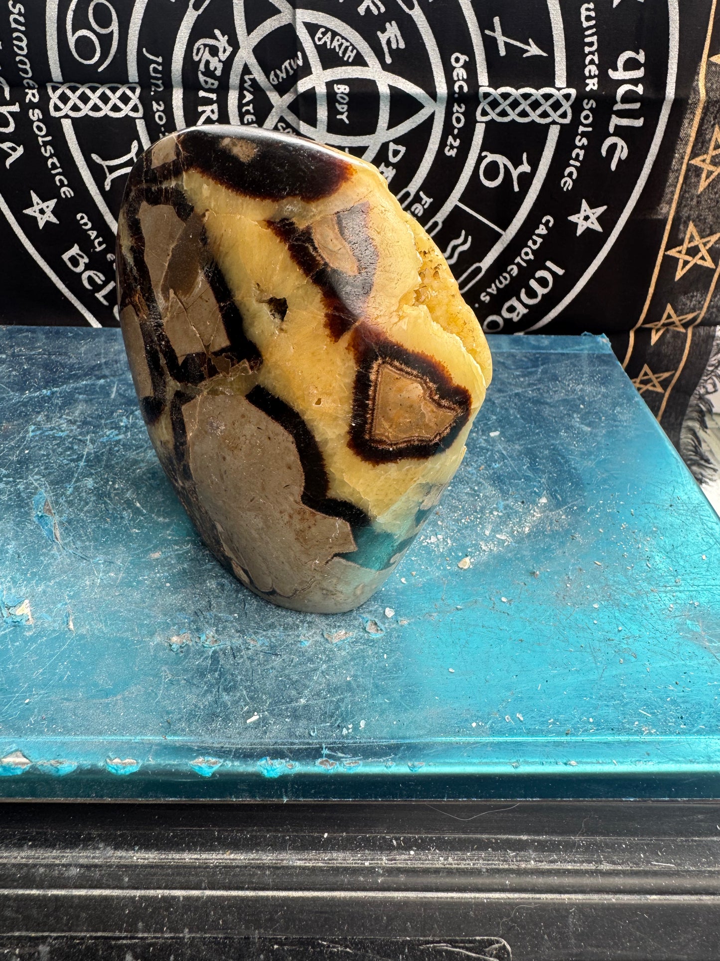 Septarian egg 1.23 kilos please see photos for size DRZ2 # 8