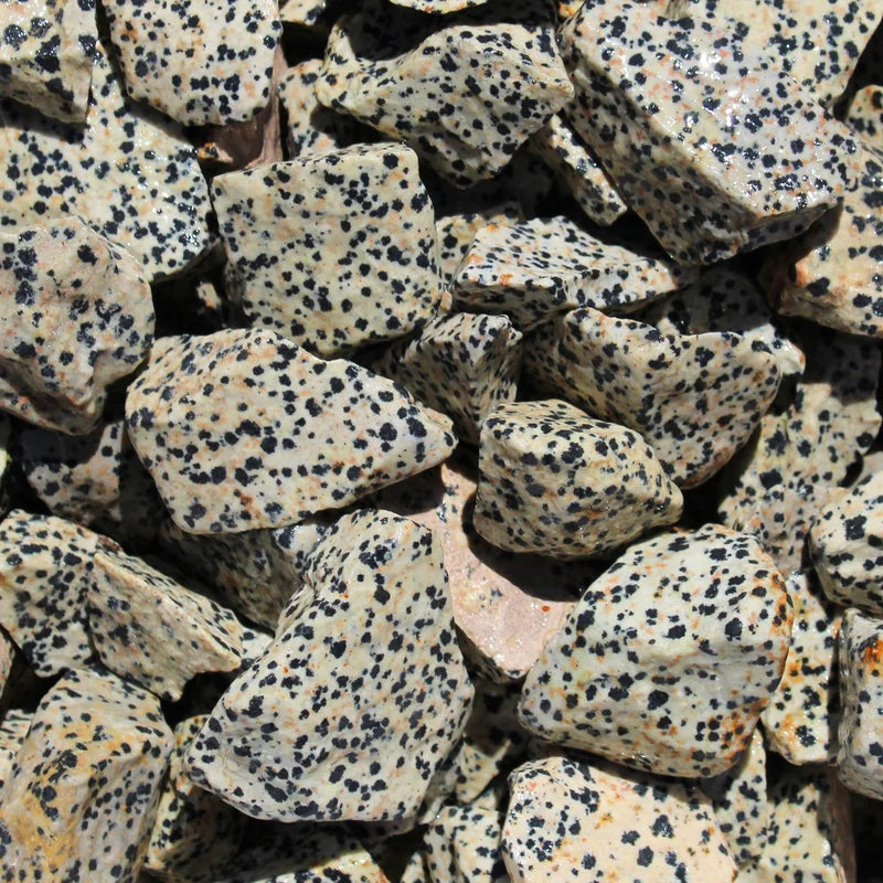 Rough Dalmatian Jasper (20–40 mm) chunks 1kilogram