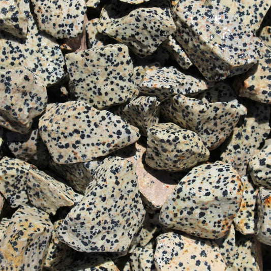 Rough Dalmatian Jasper (20–40 mm) chunks 1kilogram